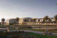 Wadi Zaha